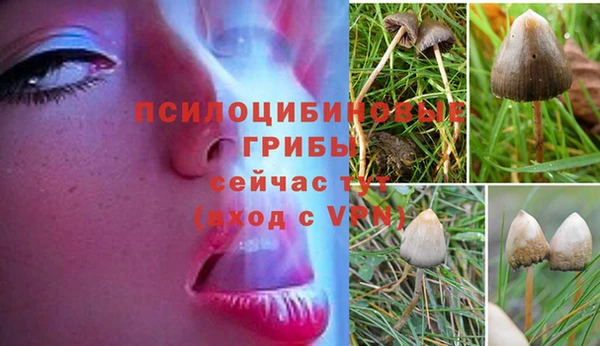 героин Алексеевка