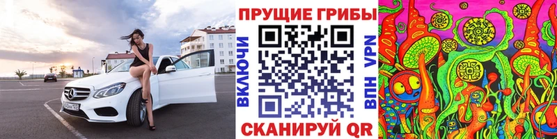 Псилоцибиновые грибы прущие грибы  Кохма 