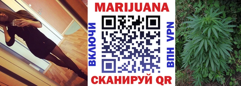 Конопля Ganja  Кохма 